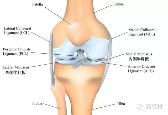骑行膝盖受损调理,骑行膝盖关节的最好治疗方法