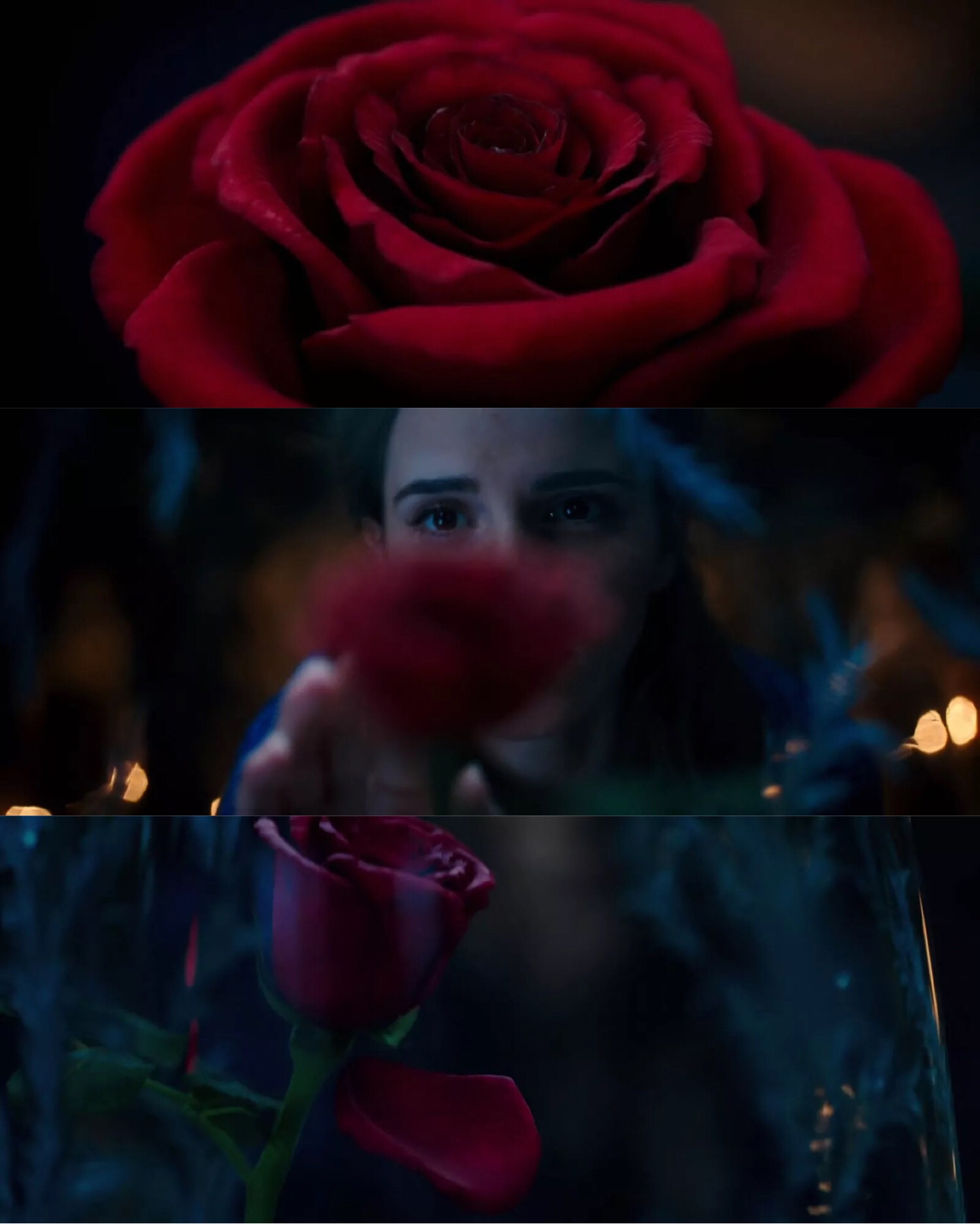 黄晓明丢书活动,黄晓明丢书