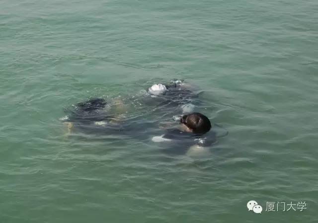 特色课程游泳课内容,隐藏的体育课