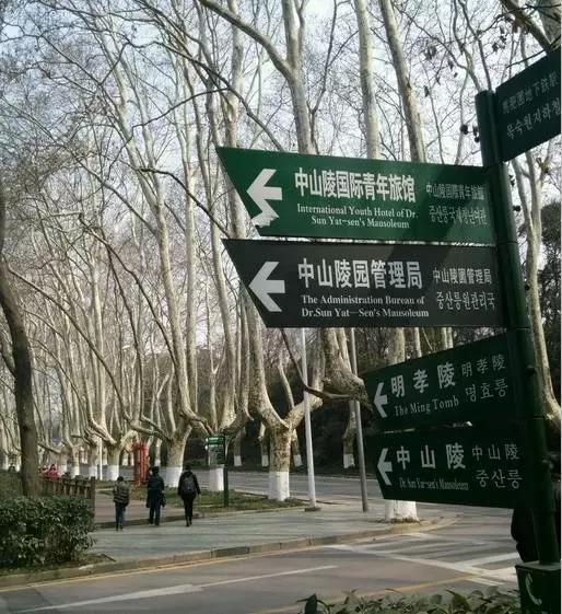 南京美食与景点精选推荐,南京旅游景点附近美食