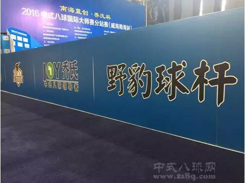 野豹硬核球杆适合打中八吗,野豹球杆准神推荐