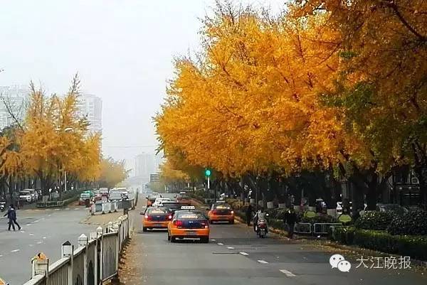 「围观」赶紧去九华山路看看吧！别人早就去过了！