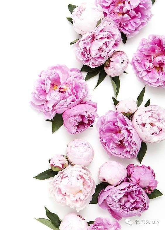 姨妈期过后怎么才能瘦的更快,经期做这几件事让你暴瘦