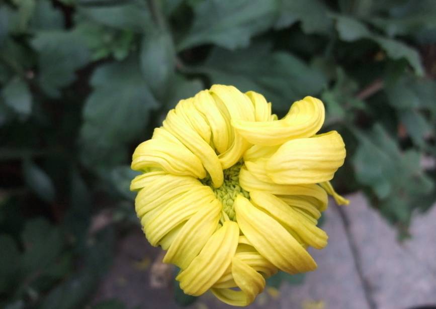 这5个姿势毁了你的健康,8个小动作换来大健康