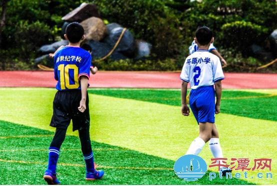 小学校园足球七人制比赛,思明区小学五人制足球赛