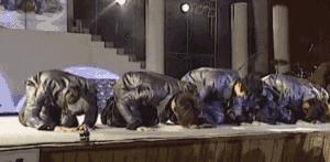 什么平台买火车票可以选座,什么网站买火车票可以选座