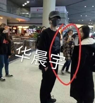 虹桥一姐追星一夜成名,虹桥一姐追星原因