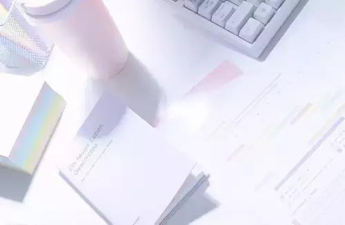 英语学霸考纲词汇,成为英语学霸的单词速记