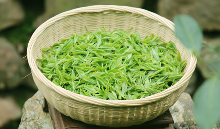 留在心尖儿上的那杯西湖龙井茶！