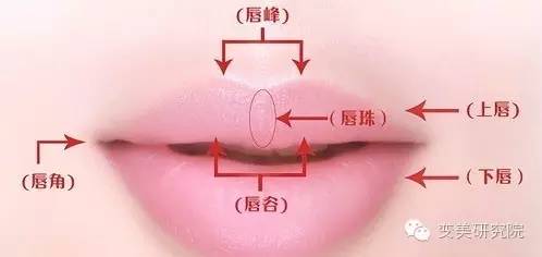 干货｜教你怎么笑才好看为了遇见你，连笑也要反复练习