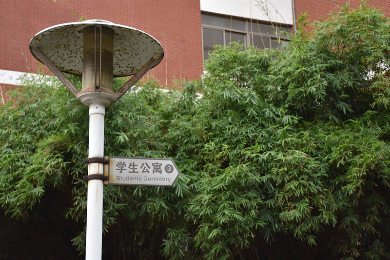 小书灯名校游——广益中学归来，一所好的学校原来是这样的