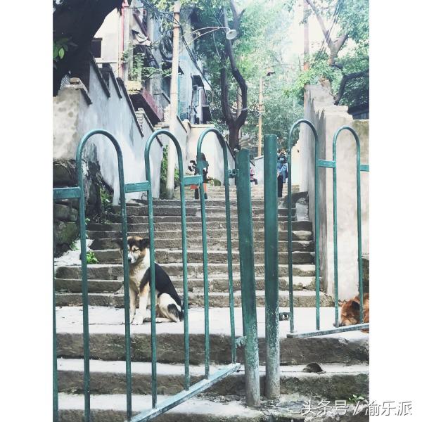 重庆有哪些城市比较好玩,重庆到底有什么好玩的