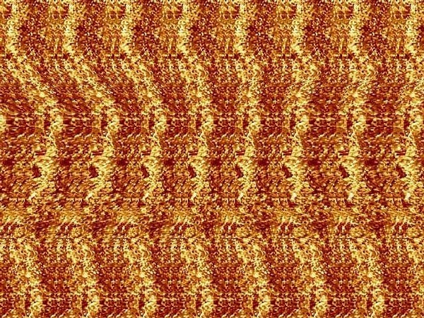 超神奇的3d动态图,omg效果图