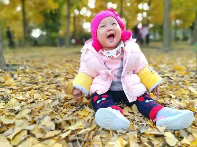 成都最萌的“银杏宝宝”在哪里？快来拿金色大礼！