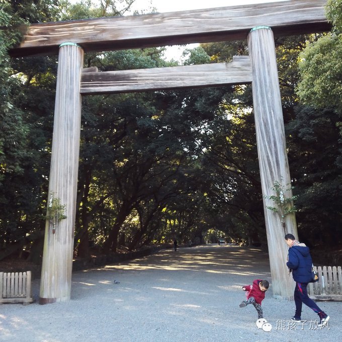 这个冬天我们一起去日本看雪,去日本看雪景哪个地方好