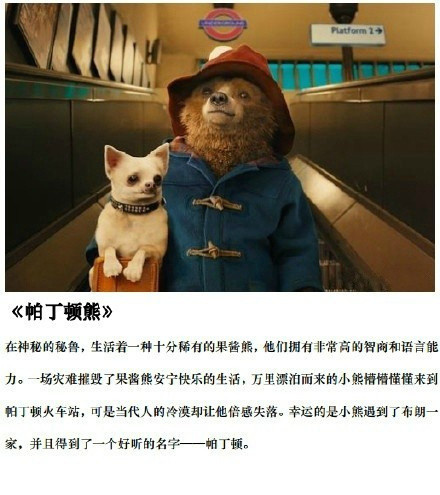 兔哥电影推荐：各种萌物萌宠出没，从头到尾，萌你一脸血