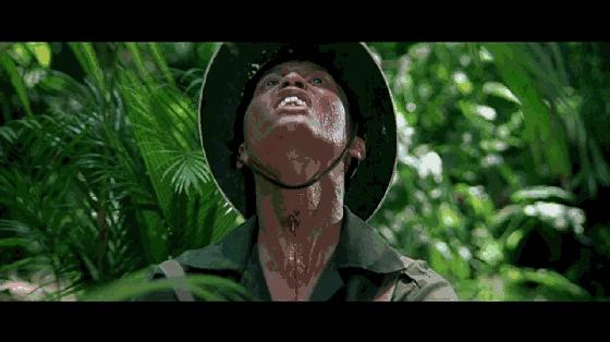 东方秃鹰洪金宝完整视频,东方秃鹰洪金宝的作品大全