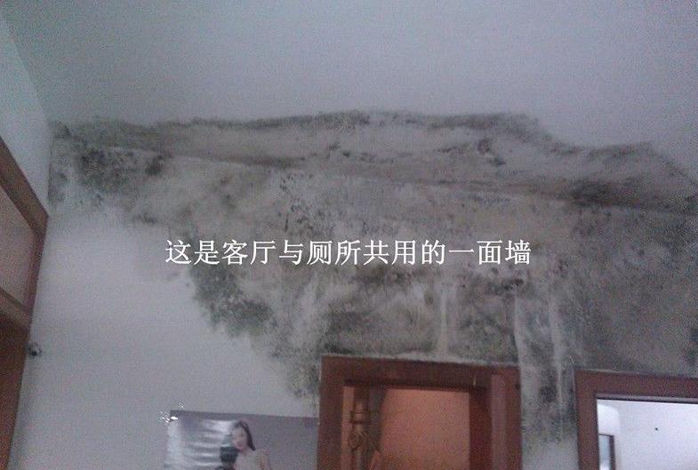 卫生间门口墙面潮湿防水怎么处理,卫生间潮湿长出蘑菇来了怎么办