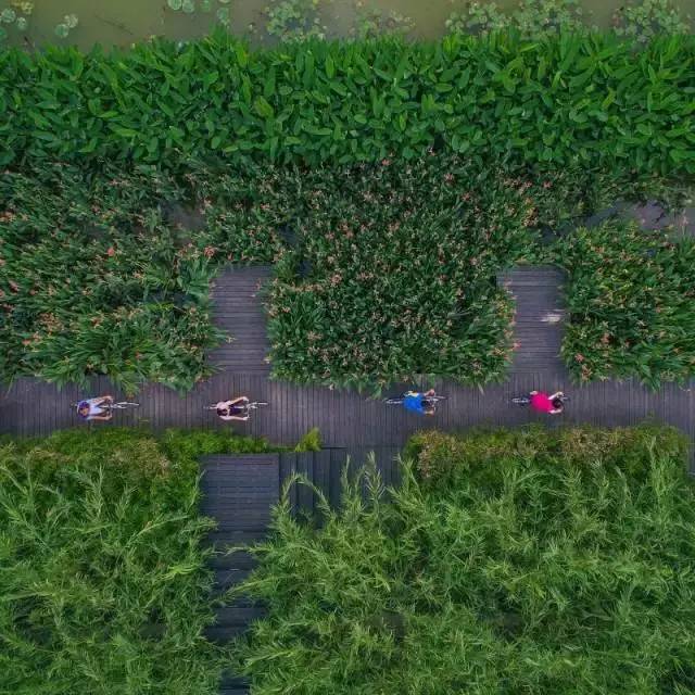 “粤建粤美”寻找城市“绿色动能”看到了哪里感受广州之美？