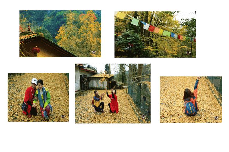 成都春季户外好去处,成都今年最火的地方在哪里