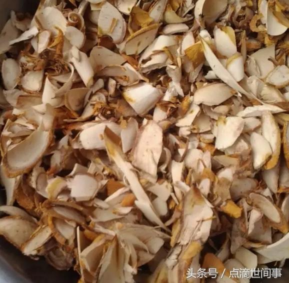 生长在山野的“山荔枝”俗称“黄鸡卵”，它的药用功效还真不少