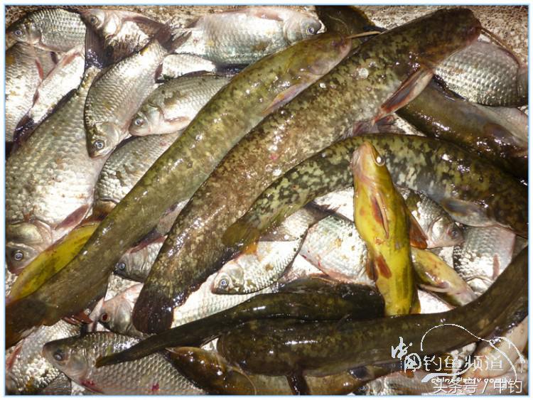 虎岭钓鱼路亚,虎岭钓鱼场