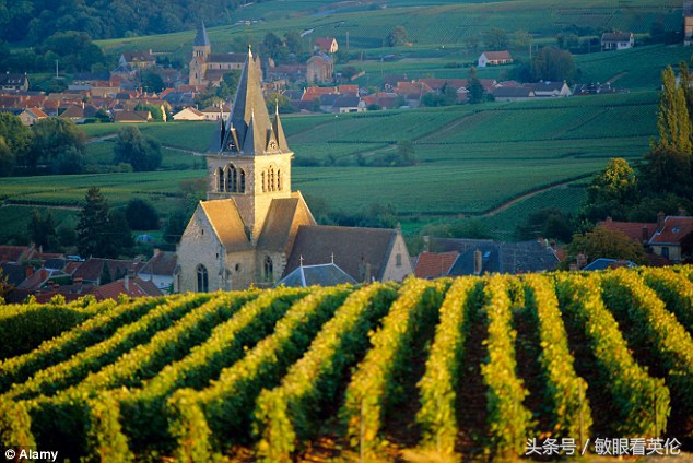 法国——英国的“甜蜜敌人”（大胡子迈克笔尖下的英国）中英双语