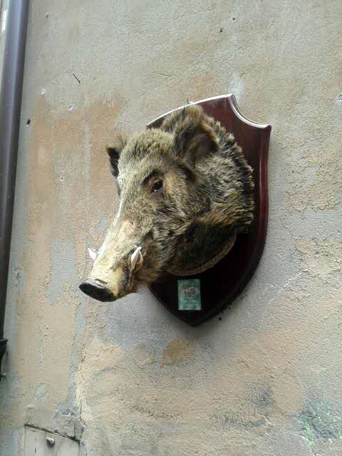 意大利托斯卡纳年份,托斯卡纳风格和美式风格区别