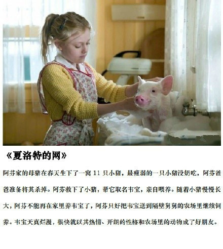 兔哥电影推荐：各种萌物萌宠出没，从头到尾，萌你一脸血