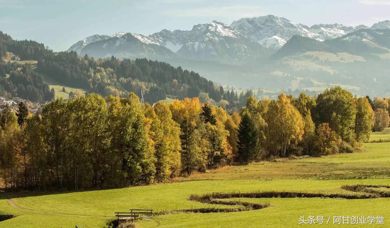 哀鸿遍野安身立命,哀鸿遍野出自哪篇文章