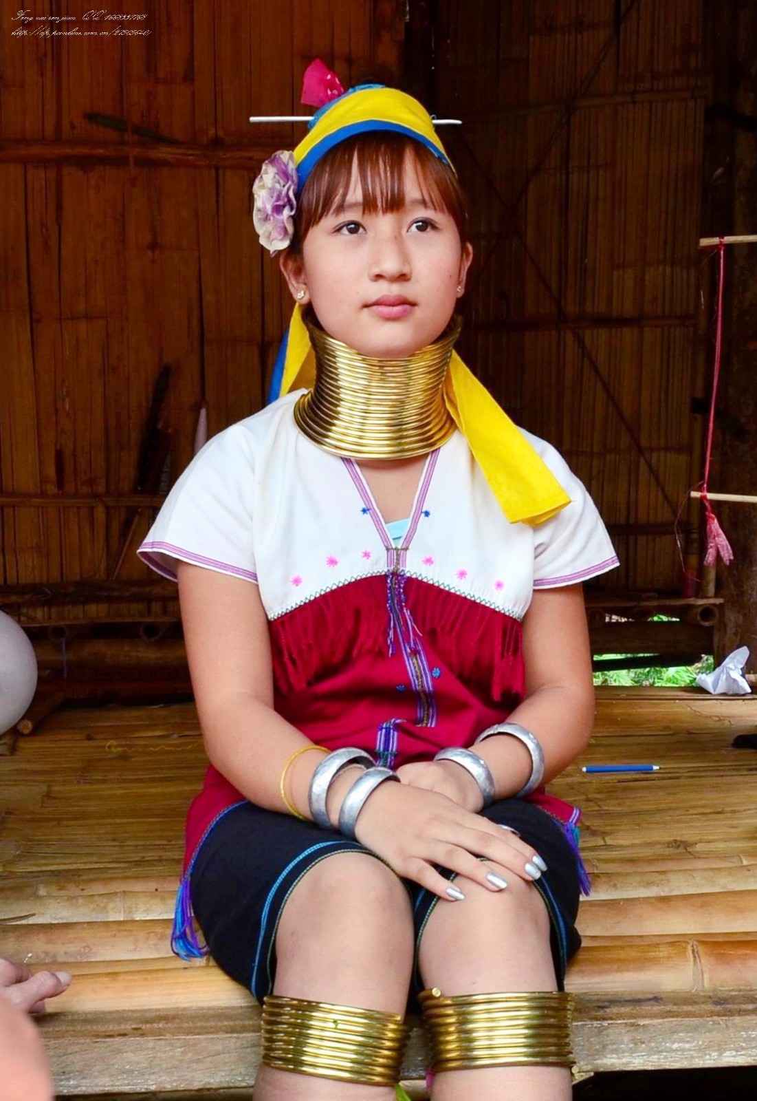 感恩节最暖心的礼物,感恩节收到的最好的礼物