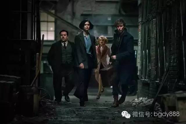 读了麻瓜麻鸡魔法入门，《神奇动物》会好看100倍