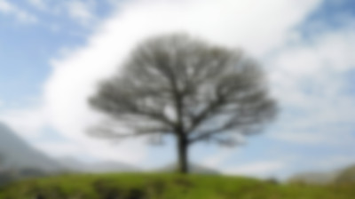 小米vr必须戴眼镜吗,小米vr眼镜支持小米13吗