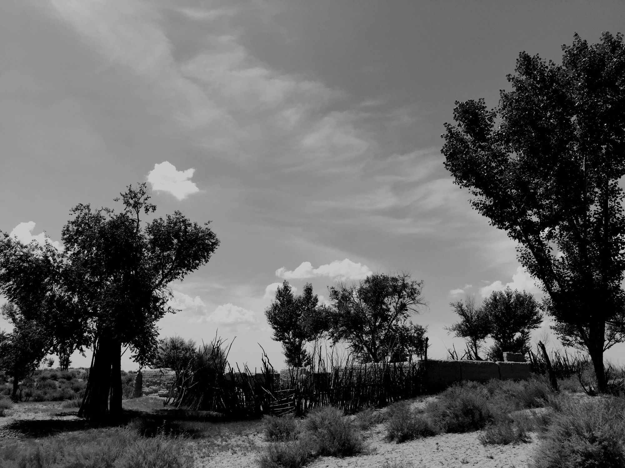 历史丨匈奴最后的遗址：废都统万城