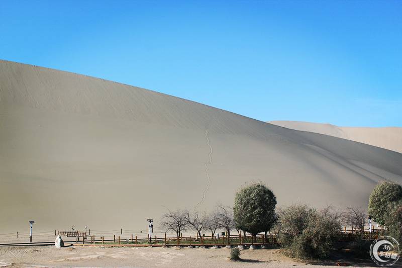 科帕奇去沙漠,科帕奇沙漠越野