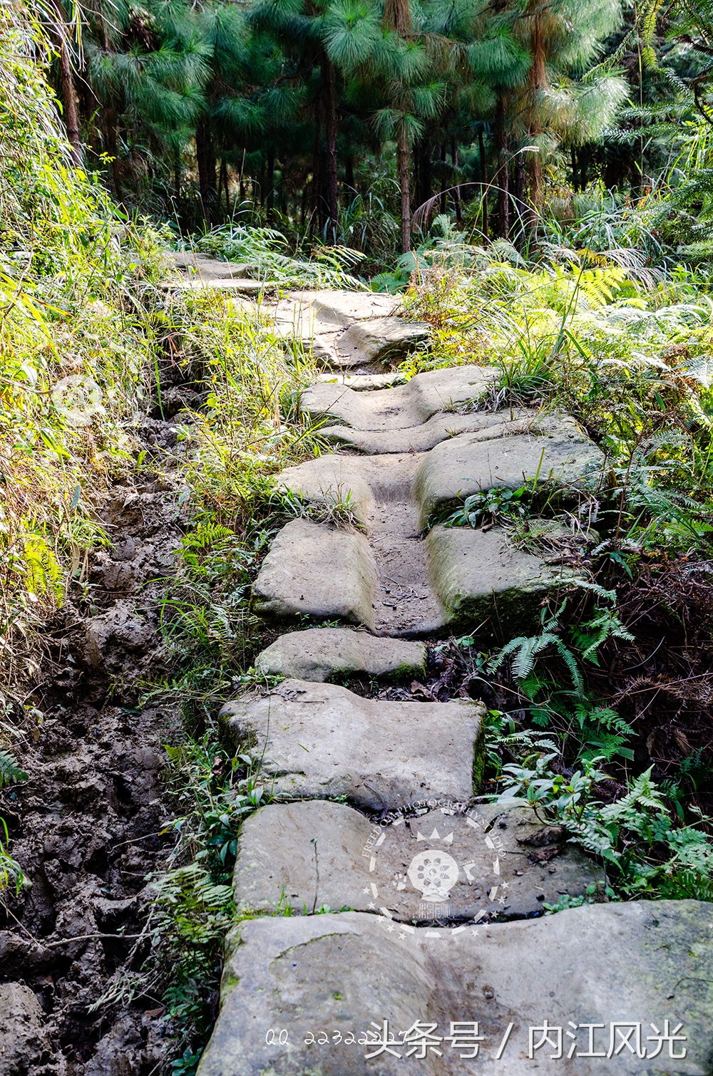 攀越震撼的内江威远高顶寨