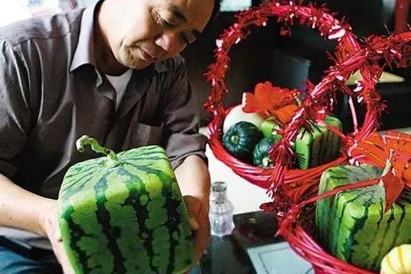 上海周边的农家乐推荐,推荐上海周边地区小众景点农家乐