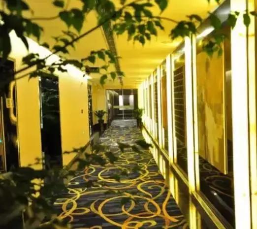 合肥汗蒸哪几家比较好,合肥汗蒸馆排名榜