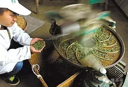 卷茶和条形茶的区别,茶的种类不同是因为品种不一样吗