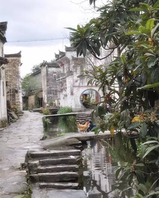 鐑熼洦澶滆鍏ㄦ枃鏈楄,鐑熼洦澶滆