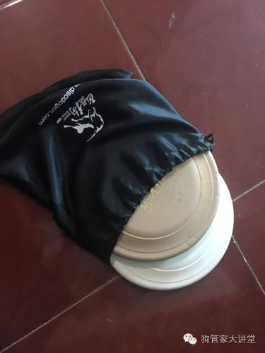 金毛从成年开始养,金毛养成