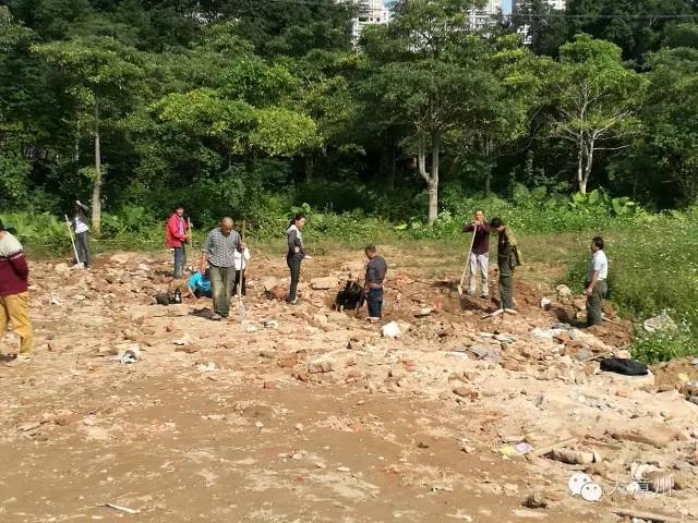 土里面挖出来的古钱币能售卖吗,一村民挖到古钱币专家出千万回收