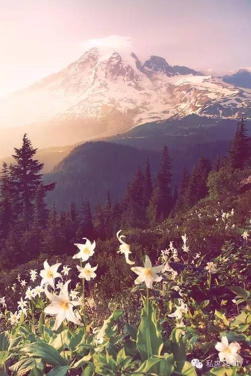 用优雅和自信战胜生活,用优雅抵抗人间的所有不安