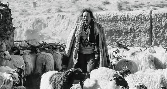 张艺谋贺岁片第20档,最强春节档来了哪部电影票房会爆