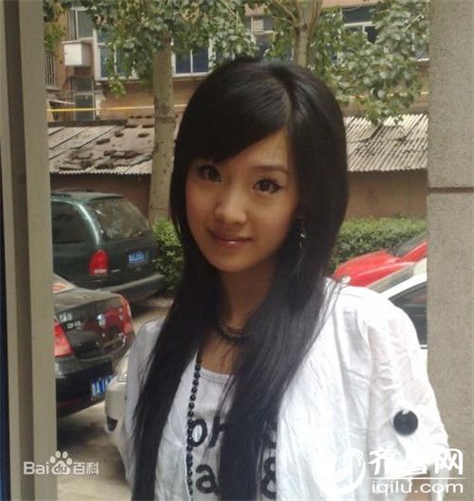 2017全球华人新春晚会,2016年全球华人网络春晚