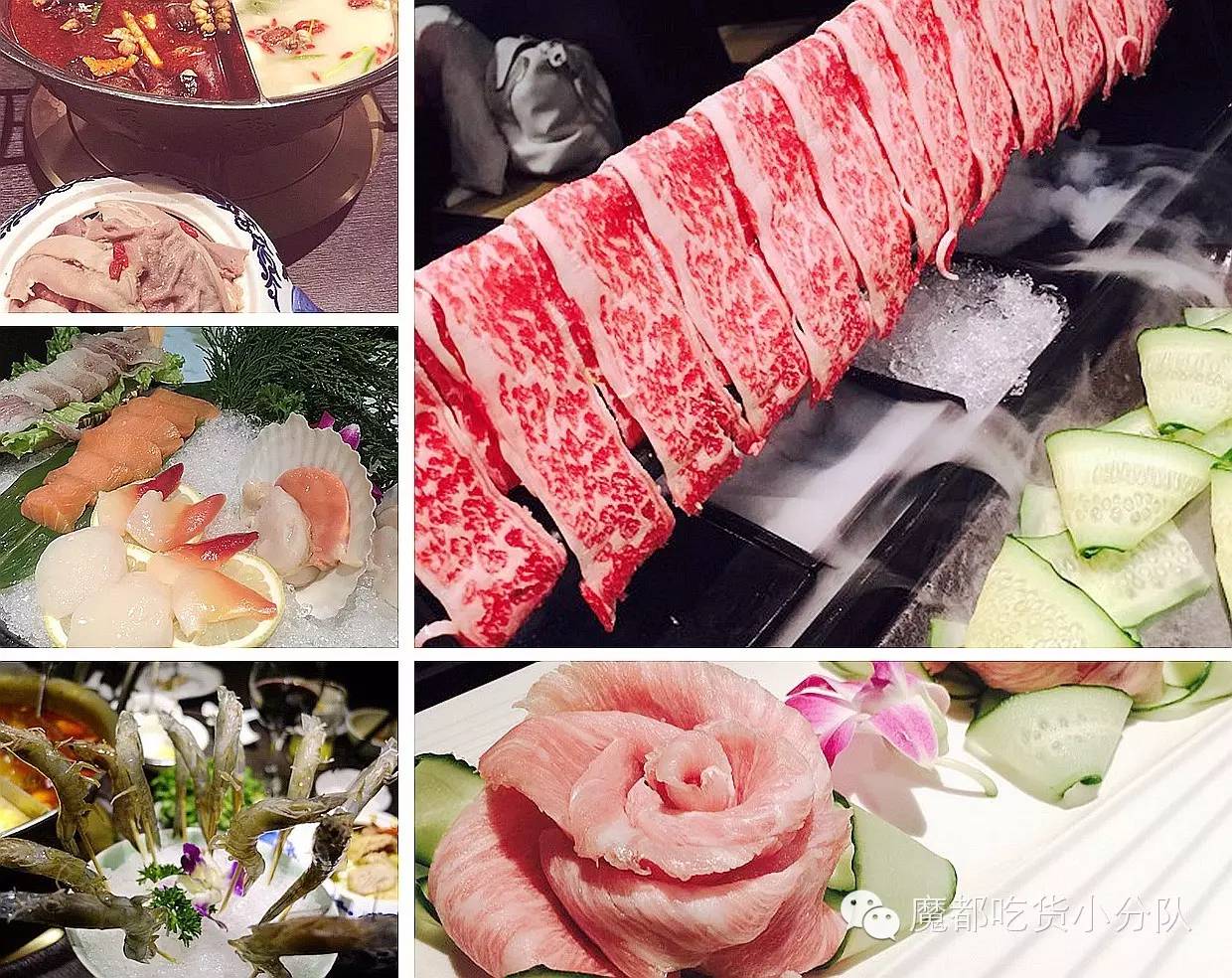 榄旈兘鐢熷瓨鎵嬪唽,榄旈兘鐢熷瓨鎸囧崡