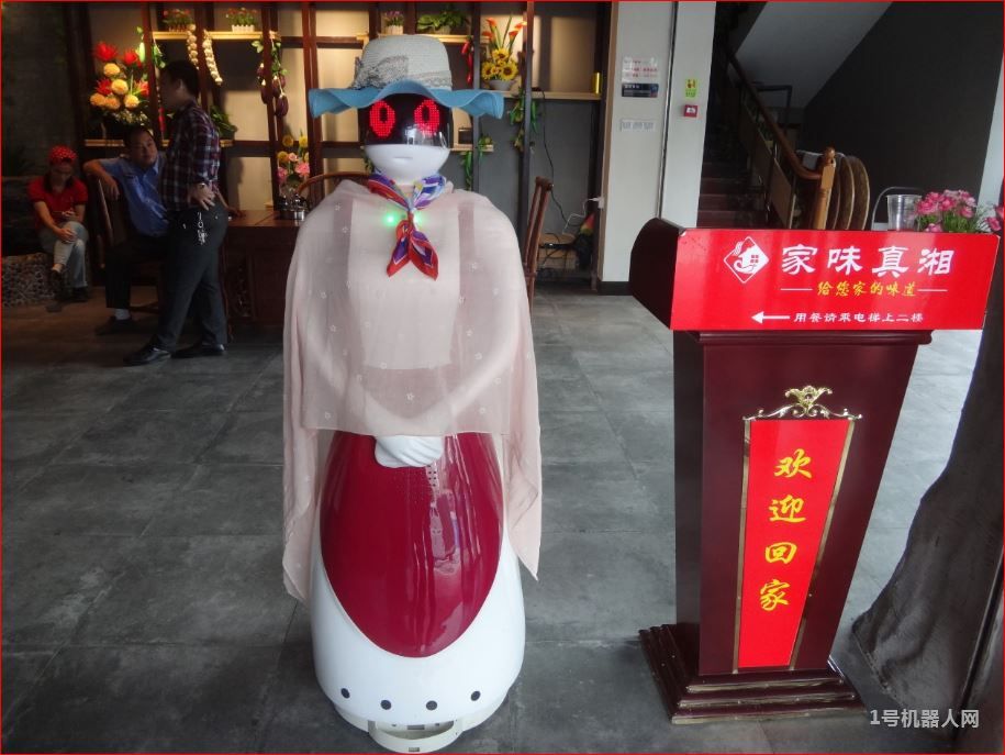 机器人餐厅真实体验,机器人餐厅与传统餐厅对比分析