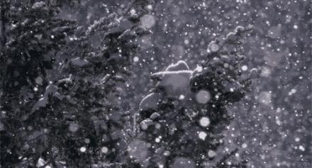 「诗词鉴赏」倾城一夜雪万物皆覆白