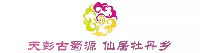 2016中国国际时装周,第一届成都国际时装周