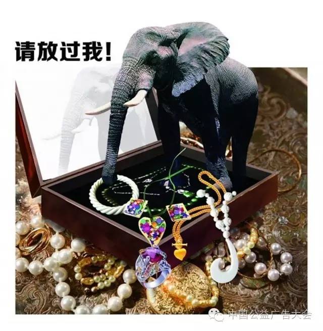 「聚焦」这些作品牛！“白兰杯”2016全国原创公益广告平面组作品精选，一次看个够！